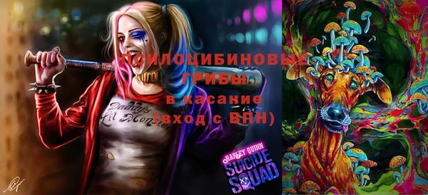 соль ск Балабаново